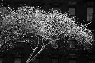 Landscape Photos : Richard Moore : Photographer